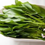 Water Spinach Unveiled: The Green Wonder of Ong Choy