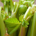 Chinese Celery Unveiled: Uses and Flavor Secrets Explained