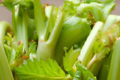 Chinese Celery Unveiled: Uses and Flavor Secrets Explained