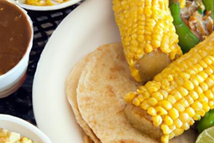 Mastering the Art of Perfectly Heated Corn Tortillas