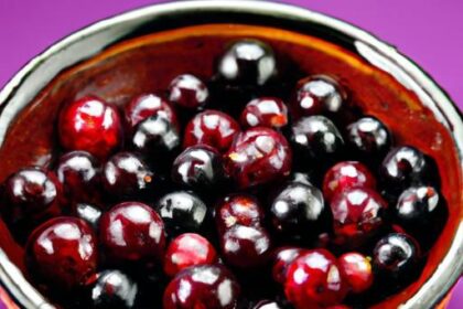 Jabuticaba Berry: Nature’s Hidden Gem on the Tree Trunk