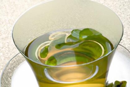 Unveiling Gunpowder Green Tea: A Captivating Brew Explained